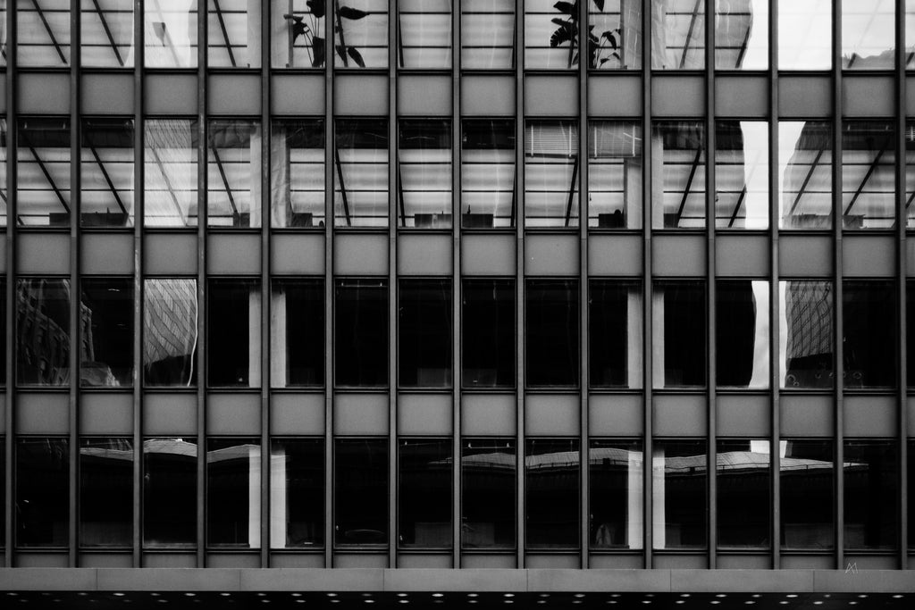 Reflejos