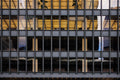 Reflejos