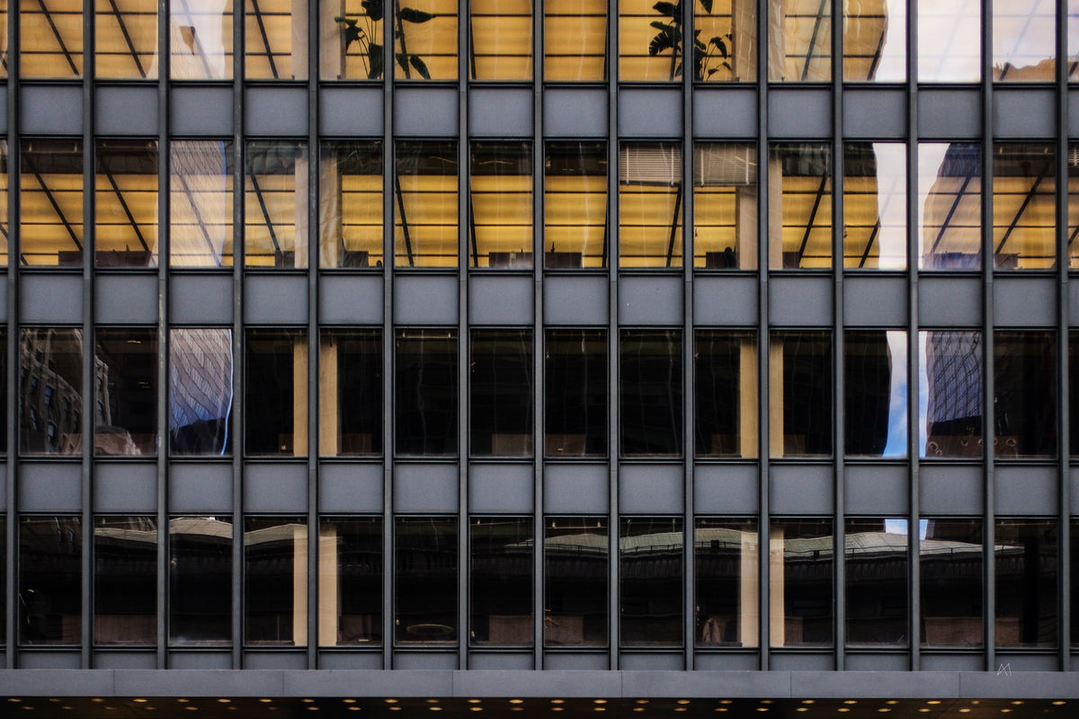 Reflejos