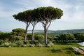 Tropez