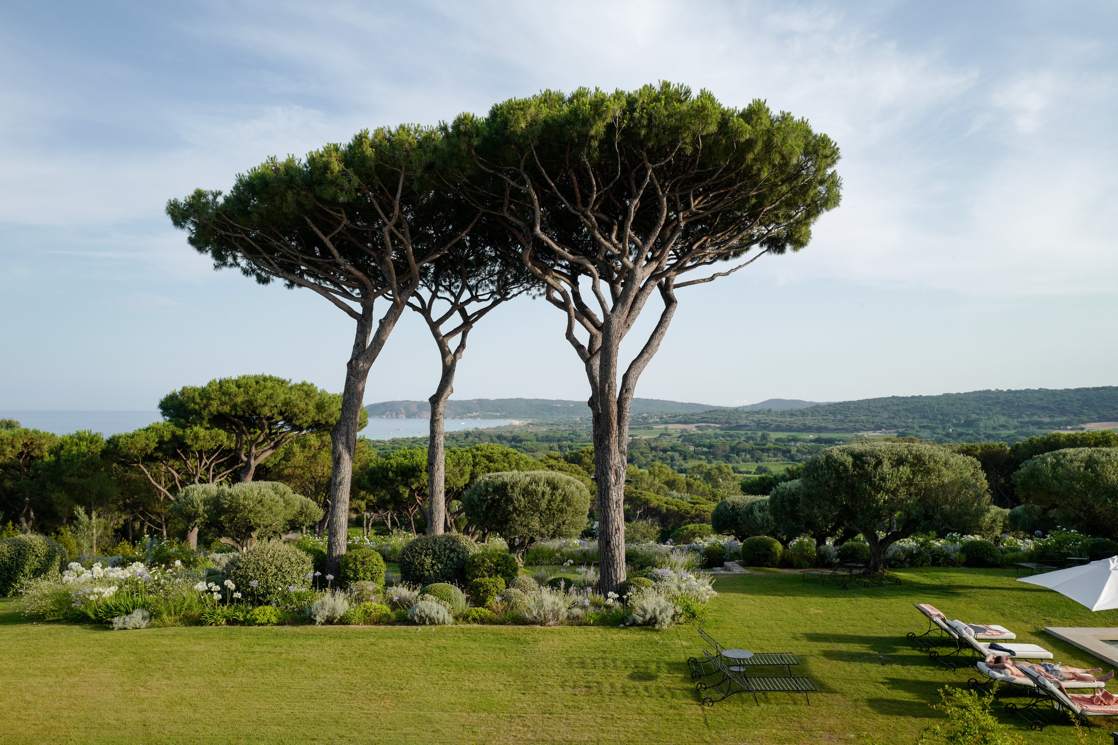 Tropez
